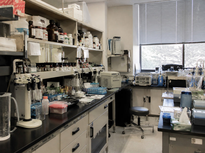 1973 discovery / vintage lab